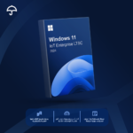 Windows 11 IoT Enterprise 2024 LTSC
